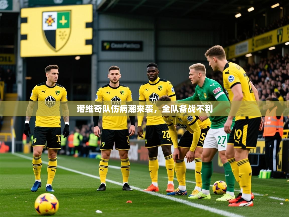 2025华体会体育下载诺维奇队伤病潮来袭，全队备战不利  第4张