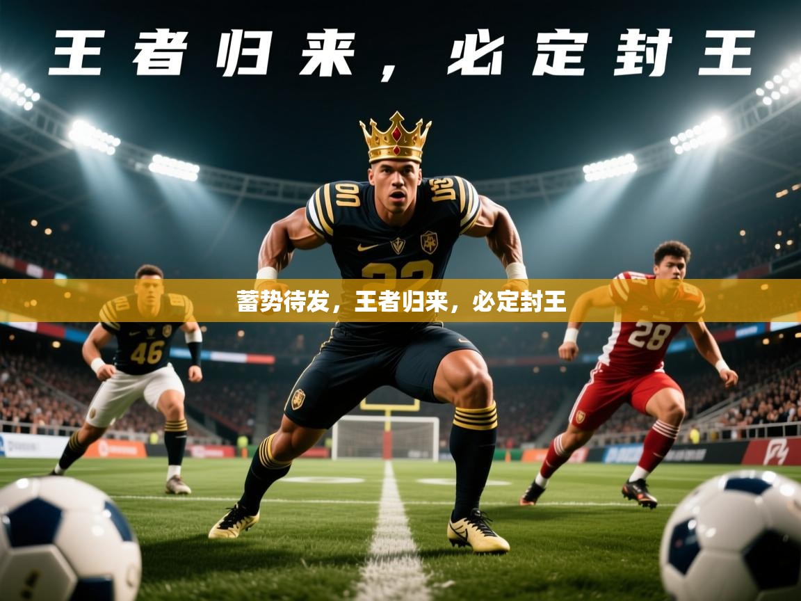 2026华体会体育app蓄势待发，王者归来，必定封王  第2张