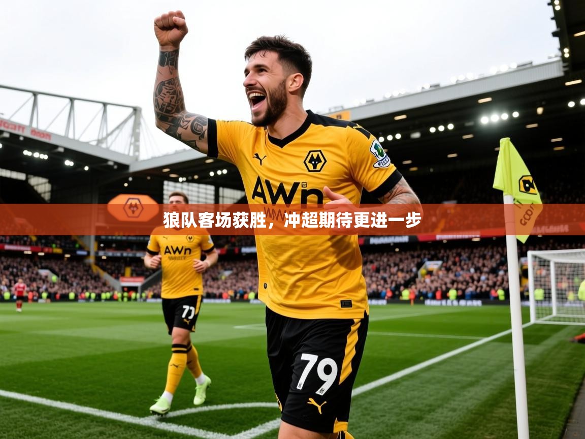 2026华体会体育最新官方入口狼队客场获胜，冲超期待更进一步  第3张