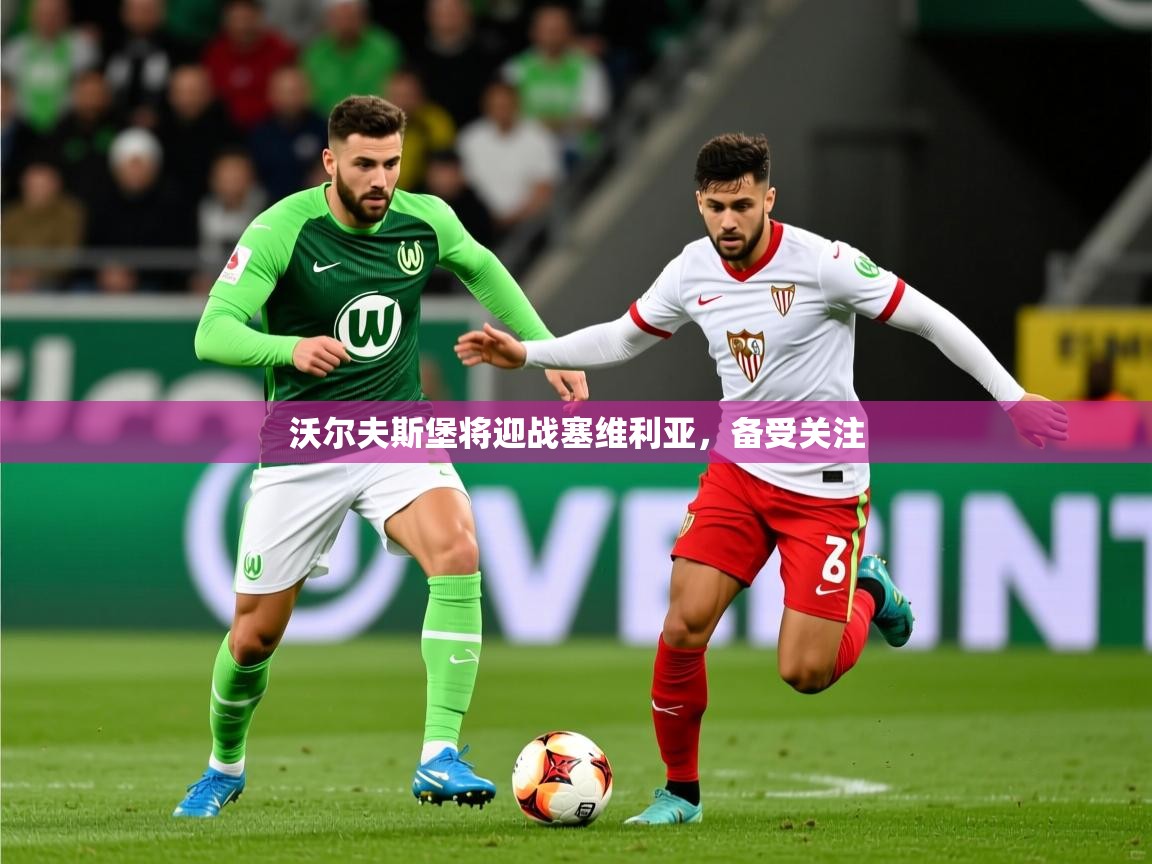 2026华体会登录网址沃尔夫斯堡将迎战塞维利亚,备受关注 第1张