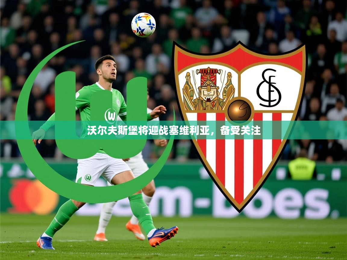 2026华体会登录网址沃尔夫斯堡将迎战塞维利亚,备受关注 第2张