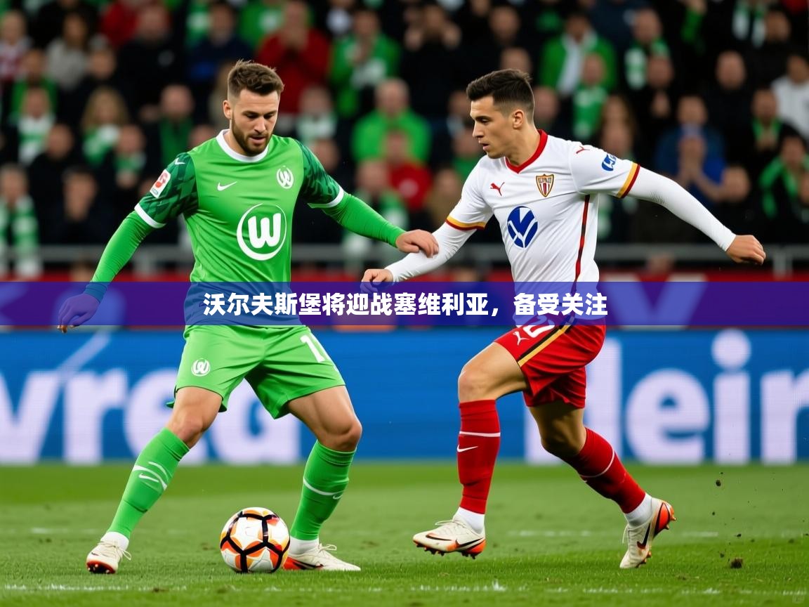 2026华体会登录网址沃尔夫斯堡将迎战塞维利亚,备受关注 第3张