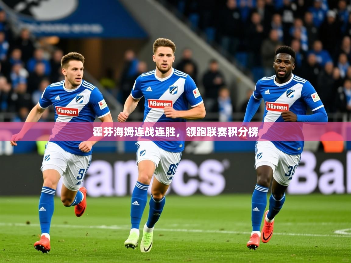 2026华体体育官网霍芬海姆连战连胜，领跑联赛积分榜  第2张