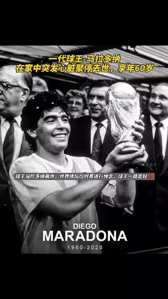 包含石家庄球王,传奇球星NBA殿堂之路的词条